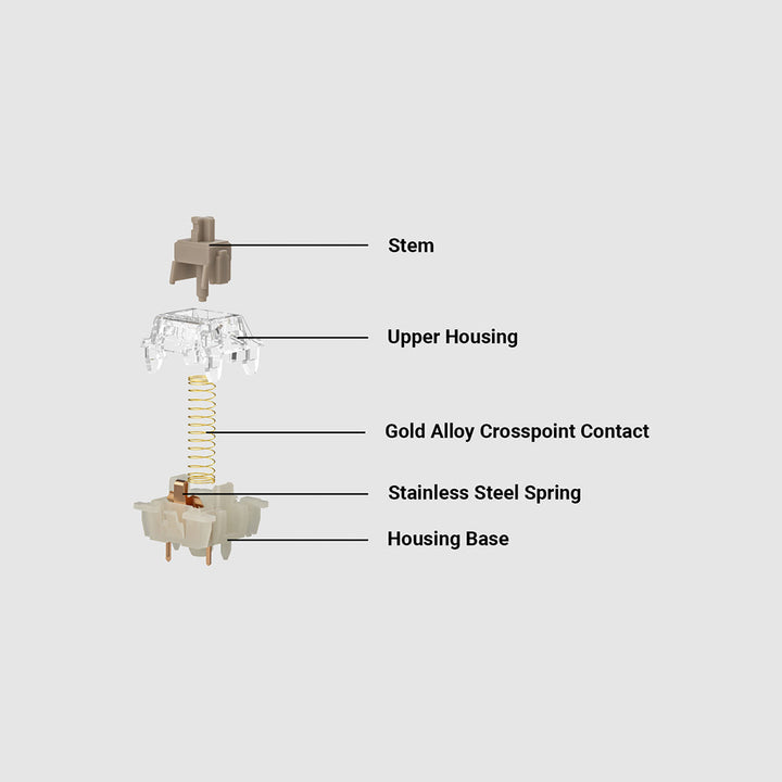 Gateron Baby Raccoon Linear Switch 110 pcs