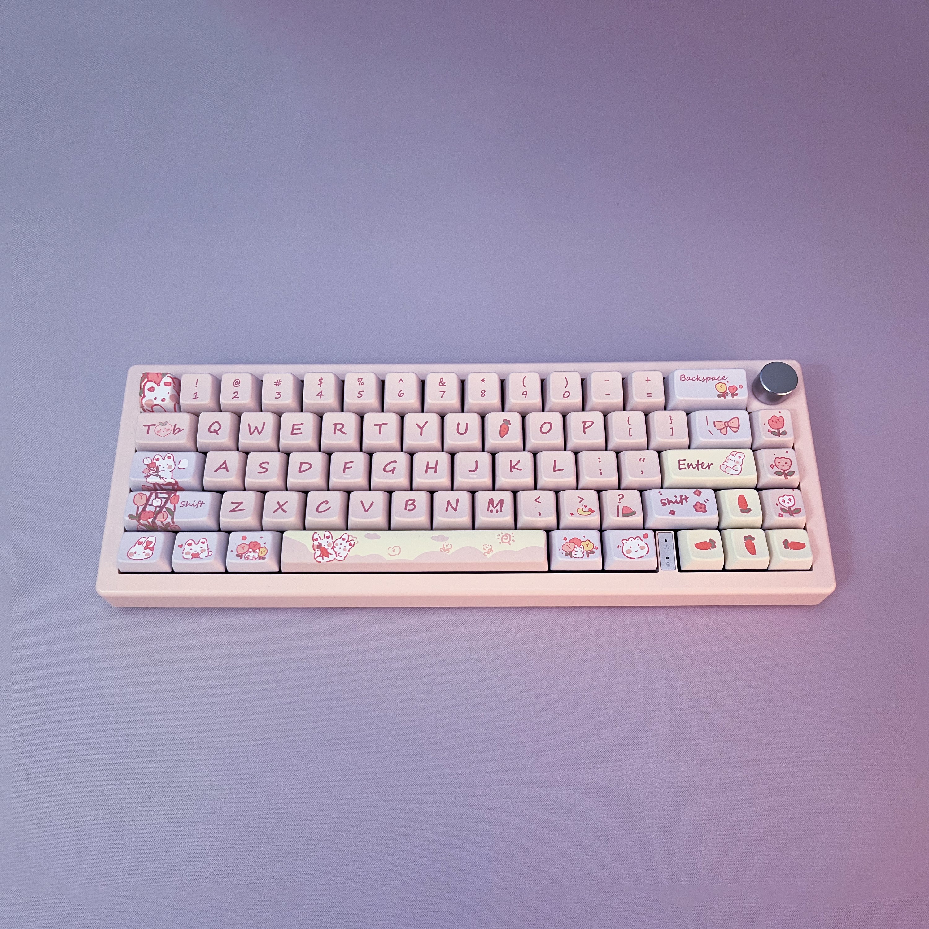 Kiibo Customized GMK67 - Blush Rabbit