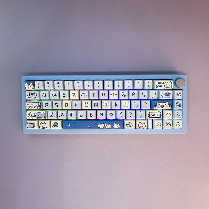 Kiibo Customized GMK67 - Cerulean Cat