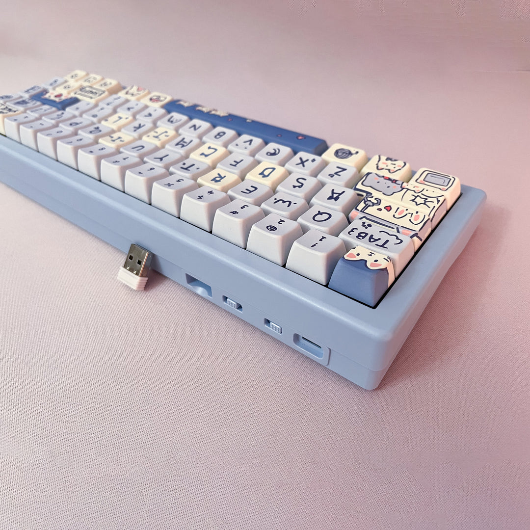 Kiibo Customized GMK67 - Cerulean Cat