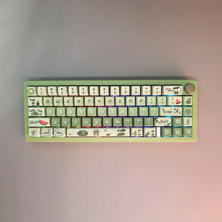 Kiibo Customized GMK67 - Forest Frog