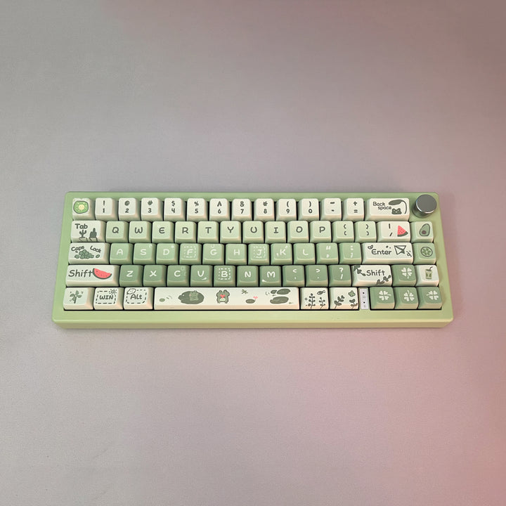 Kiibo Customized GMK67 - Forest Frog