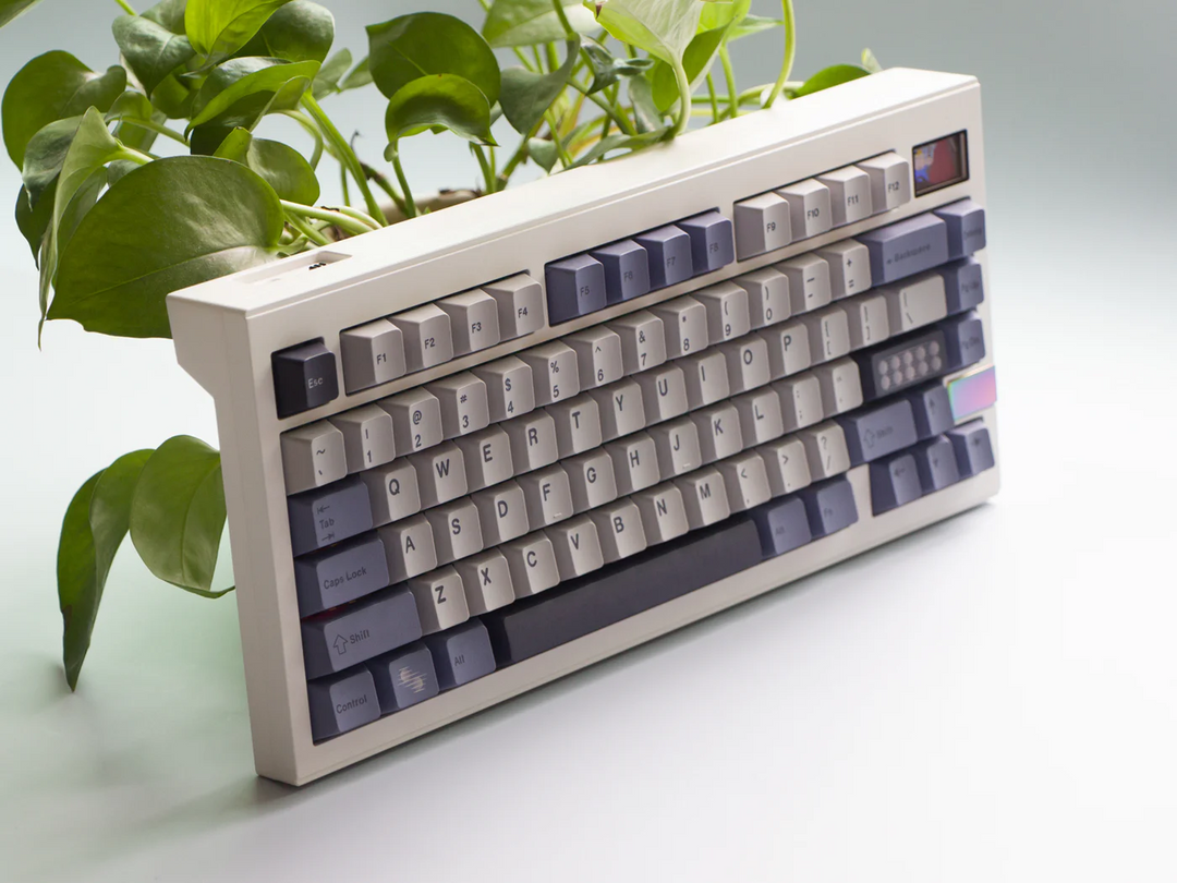 FinalKey V81 Plus - Keyboard Kit