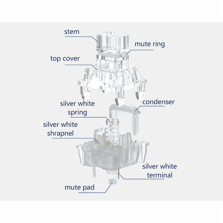 TTC Silent Frozen Switch V2